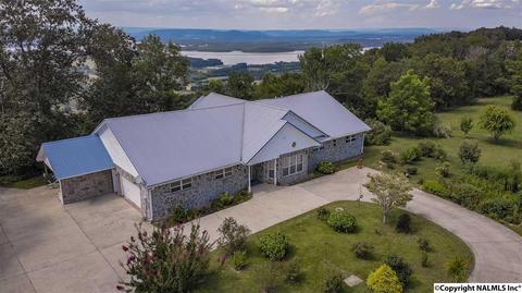 110 Overlook Dr, Section, AL 35771 photo 50
