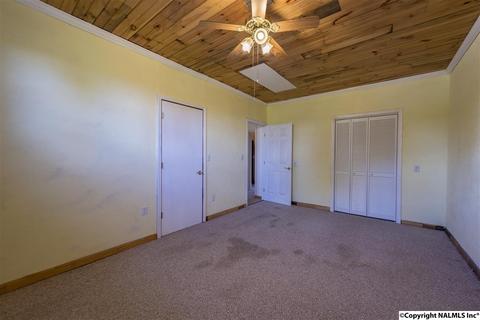110 Overlook Dr, Section, AL 35771 photo 24