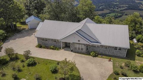 110 Overlook Dr, Section, AL 35771 photo 35