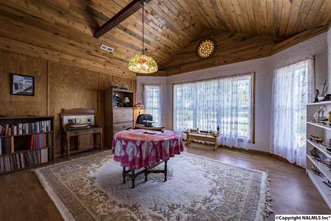 110 Overlook Dr, Section, AL 35771 photo 5