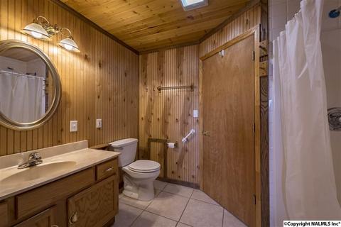 110 Overlook Dr, Section, AL 35771 photo 19