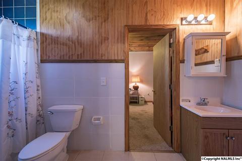 110 Overlook Dr, Section, AL 35771 photo 22