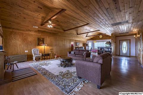 110 Overlook Dr, Section, AL 35771 photo 8