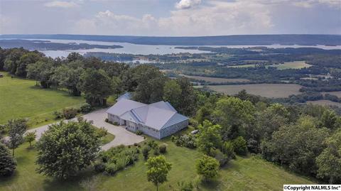 110 Overlook Dr, Section, AL 35771 photo 2