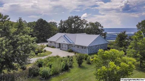 110 Overlook Dr, Section, AL 35771 photo 37