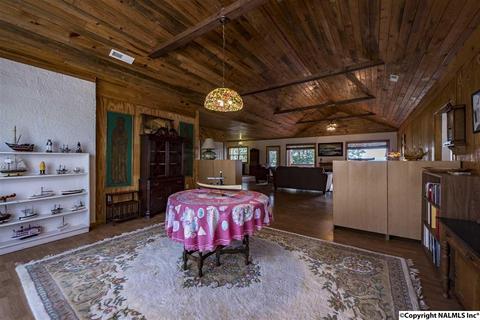 110 Overlook Dr, Section, AL 35771 photo 9