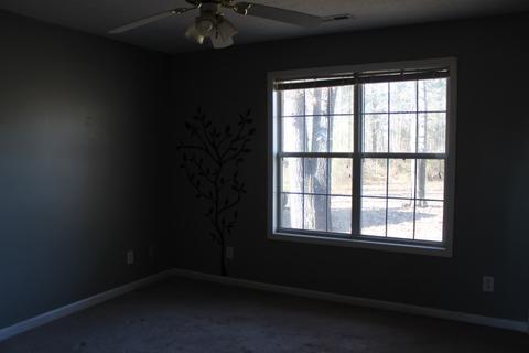 4880 Deer Run Ln, Cedar Bluff, AL 35959 photo 22
