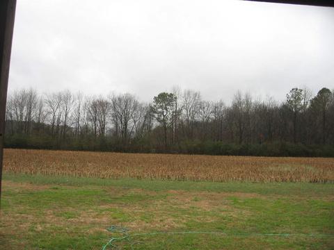 531 Cherry Tree Rd, Gurley, AL 35748 photo 24