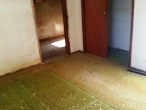 7343 County Road 170, Trinity, AL 35673 photo 8