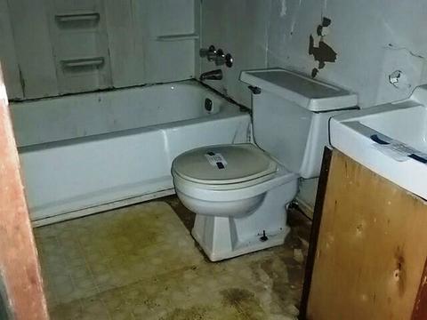 7343 County Road 170, Trinity, AL 35673 photo 16