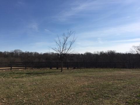 28214 Mitchell Loop, Ardmore, AL 35739 photo 15