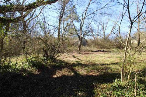 188 Bluffview Dr, Arab, AL 35016 photo 4