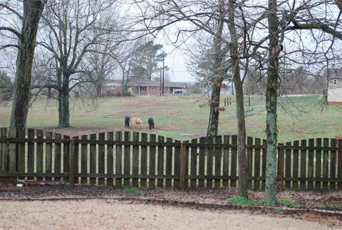 132 Engineer Ct, Harvest, AL 35749 photo 32