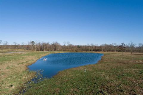 471 County Road 16, Dutton, AL 35744 photo 6