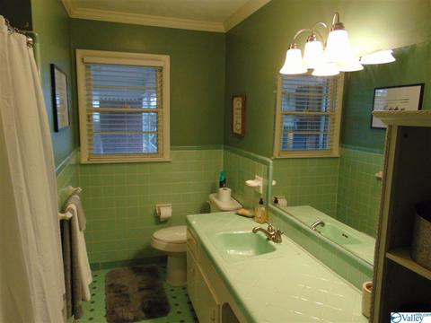 741 3rd St NE, Arab, AL 35016 photo 22
