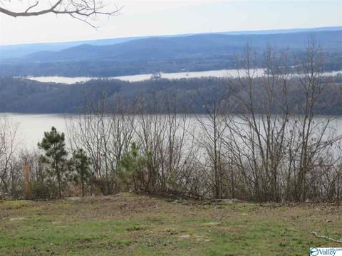 1889 Scenic Dr, Section, AL 35771 photo 12
