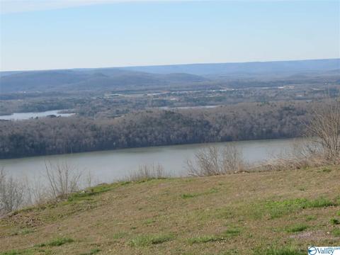 1889 Scenic Dr, Section, AL 35771 photo 13