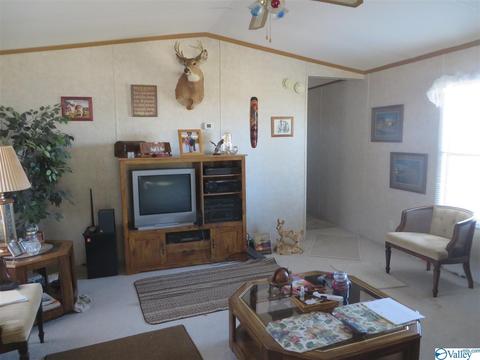 1889 Scenic Dr, Section, AL 35771 photo 5