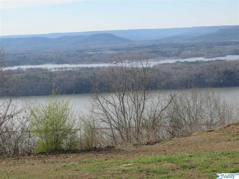 1889 Scenic Dr, Section, AL 35771 photo 1