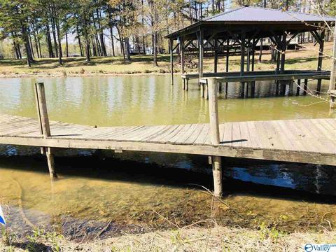 300 County Road 625, Cedar Bluff, AL 35959 photo 37