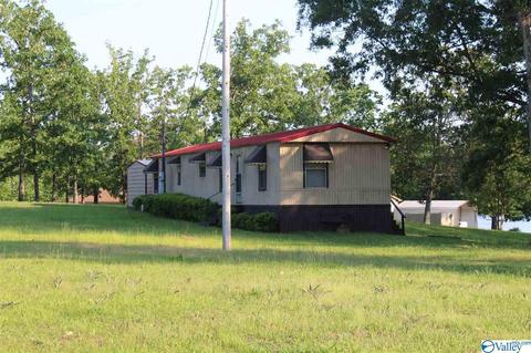 300 County Road 625, Cedar Bluff, AL 35959 photo 1