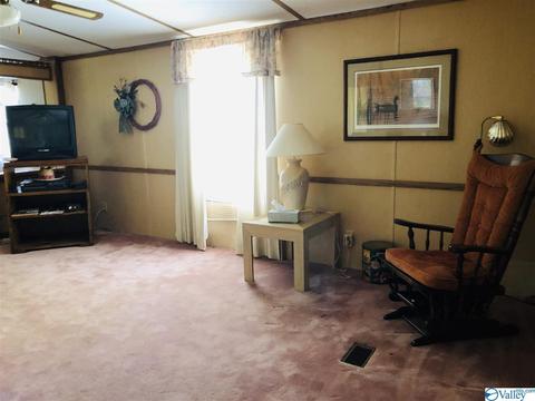 300 County Road 625, Cedar Bluff, AL 35959 photo 19