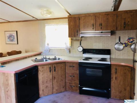 300 County Road 625, Cedar Bluff, AL 35959 photo 8