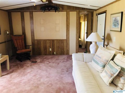 300 County Road 625, Cedar Bluff, AL 35959 photo 16