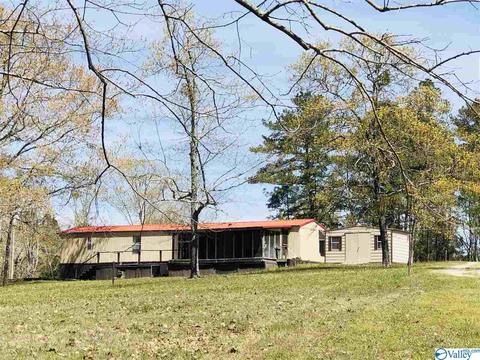 300 County Road 625, Cedar Bluff, AL 35959 photo 41