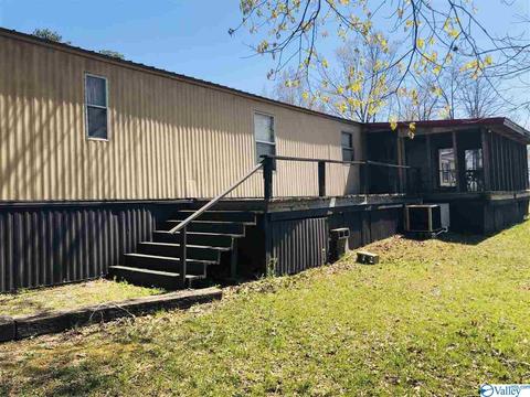 300 County Road 625, Cedar Bluff, AL 35959 photo 3