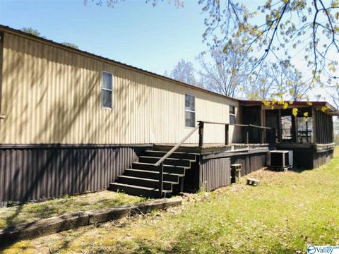 300 County Road 625, Cedar Bluff, AL 35959 photo 42