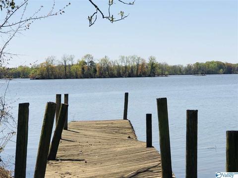 300 County Road 625, Cedar Bluff, AL 35959 photo 40