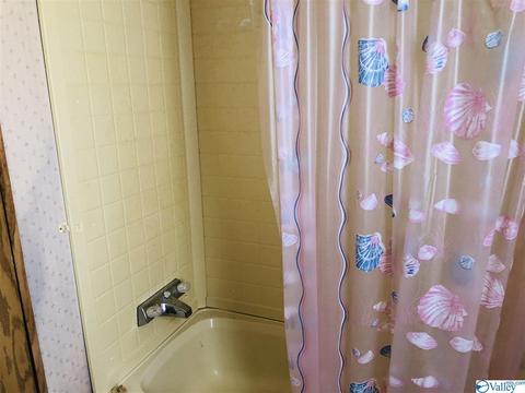 300 County Road 625, Cedar Bluff, AL 35959 photo 23