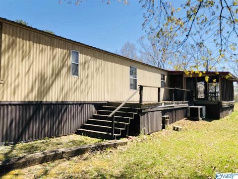 300 County Road 625, Cedar Bluff, AL 35959 photo 43