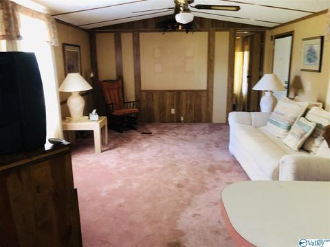 300 County Road 625, Cedar Bluff, AL 35959 photo 10
