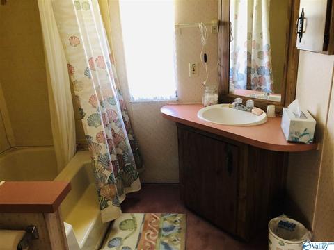 300 County Road 625, Cedar Bluff, AL 35959 photo 33