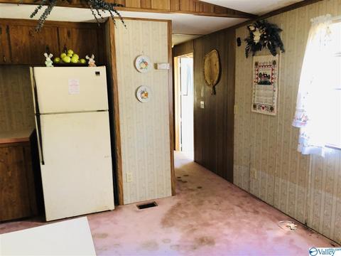 300 County Road 625, Cedar Bluff, AL 35959 photo 13