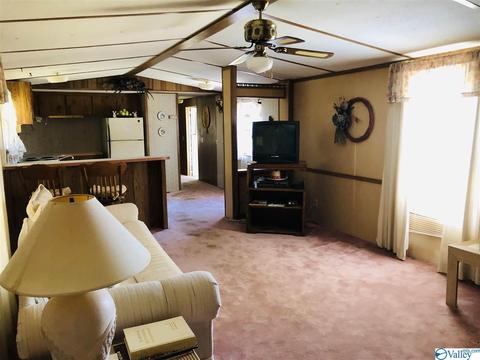 300 County Road 625, Cedar Bluff, AL 35959 photo 18
