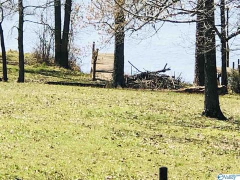 300 County Road 625, Cedar Bluff, AL 35959 photo 4