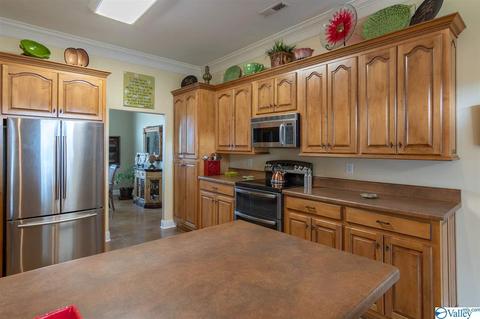 27 Hidden Creek Dr, Trinity, AL 35673 photo 3