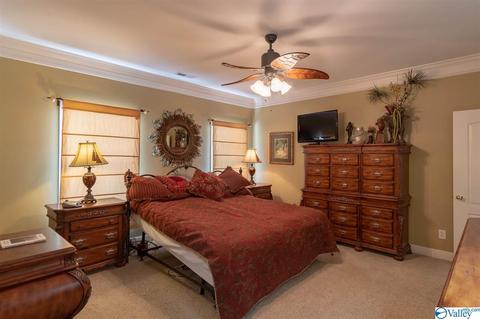 27 Hidden Creek Dr, Trinity, AL 35673 photo 18