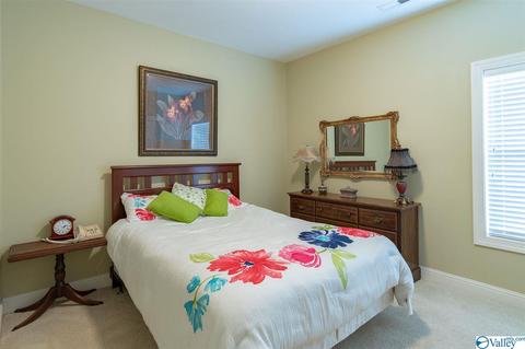 27 Hidden Creek Dr, Trinity, AL 35673 photo 23