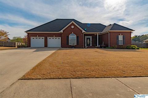 27 Hidden Creek Dr, Trinity, AL 35673 photo 1