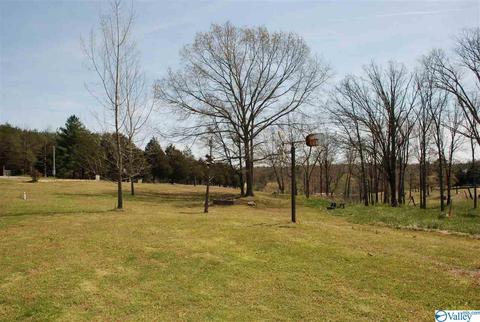 6967 County Road 43, Section, AL 35771 photo 5