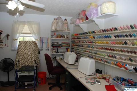 6967 County Road 43, Section, AL 35771 photo 31