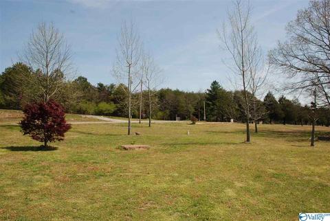 6967 County Road 43, Section, AL 35771 photo 6