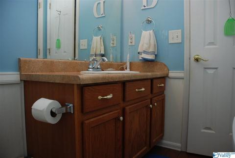 6967 County Road 43, Section, AL 35771 photo 35