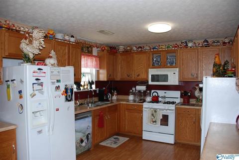 6967 County Road 43, Section, AL 35771 photo 15