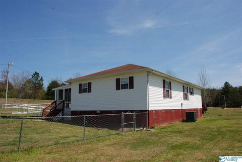 6967 County Road 43, Section, AL 35771 photo 3
