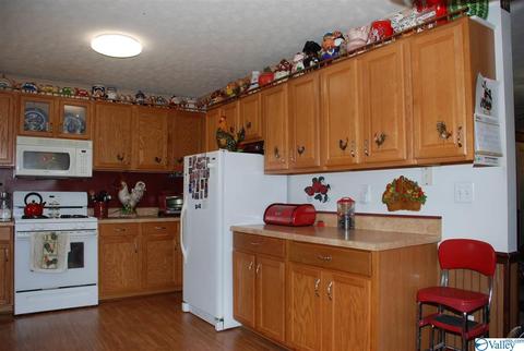 6967 County Road 43, Section, AL 35771 photo 20